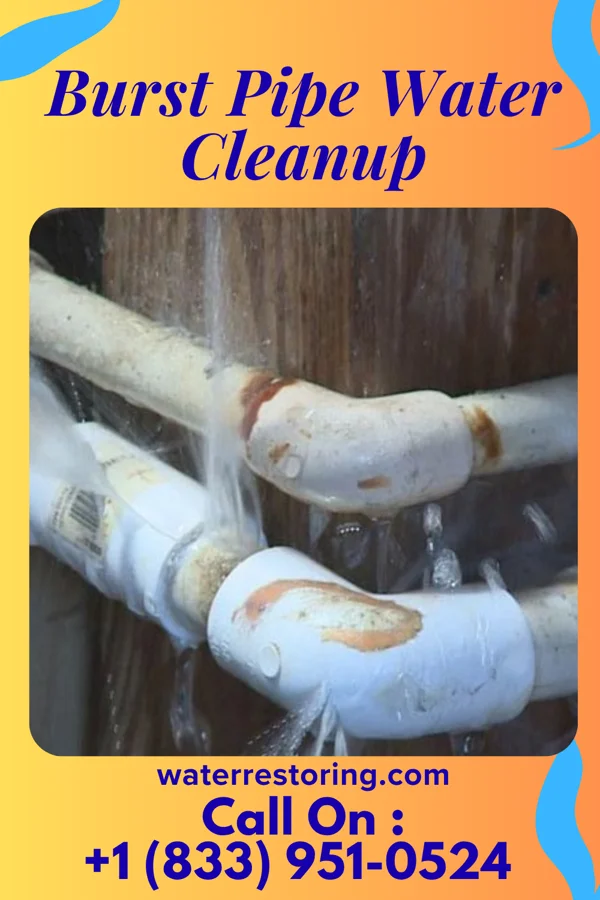 Burst Pipe Water Cleanup in Falmouth, PA