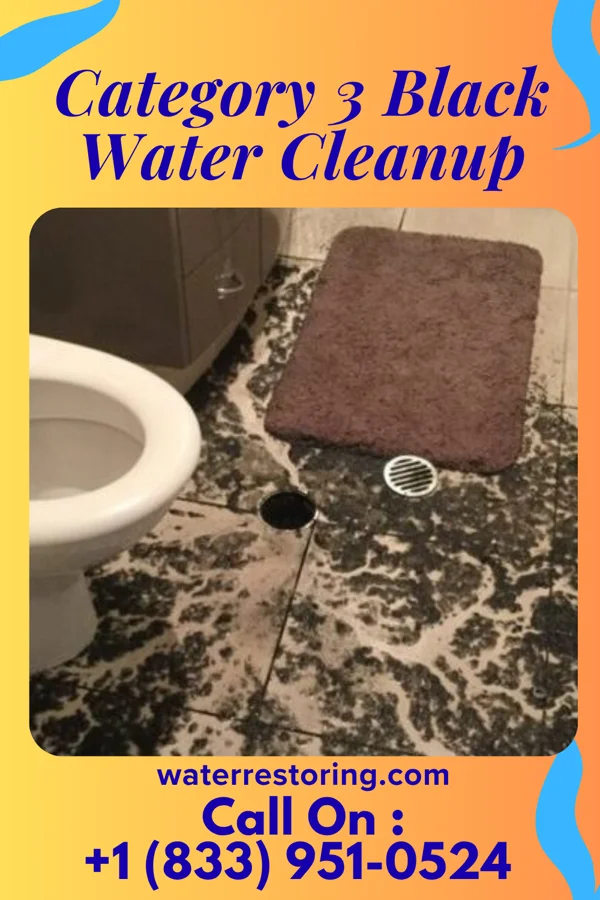 Category 3 Black Water Cleanup in Falmouth, PA
