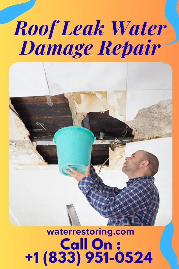 Roof Leak Water Damage Repair in Falmouth, PA
