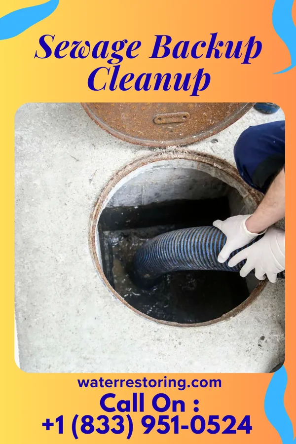 Sewage Backup Cleanup in Falmouth, PA