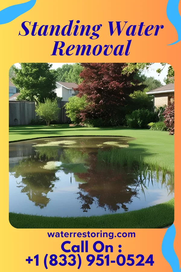 Standing Water Removal in Falmouth, PA